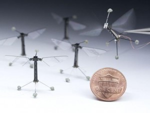 Insect size Robot