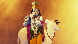 Krishna Janmashtami 