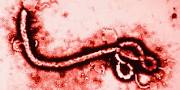 Ebola: Man tests positive kept under isolation at Delhi airport