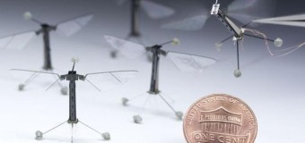 First insect-size robot that can fly, swim